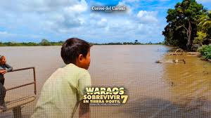 Waraos: una cultura que resiste en la ciudad