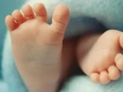 Los bebés concebidos con el ADN de 3 personas que nacieron libres de enfermedades hereditarias