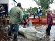 Ganaderos afirman que la producción sigue y las pérdidas por lluvias son incalculables