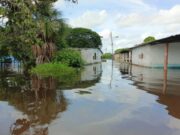 Preocupación por las crecidas del Orinoco: «Podría ser aún más grave que la de 2018»