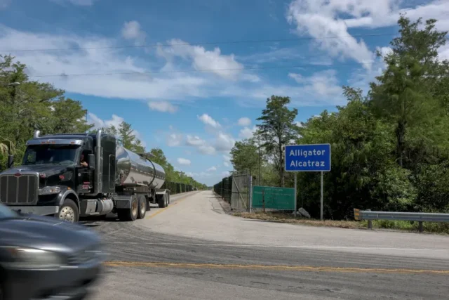 alligator-alcatrazafp