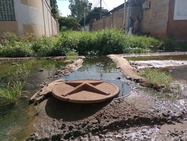 4924855706755116773-scaled