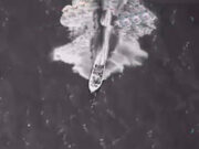 El primer disparo mortal, por Gregorio Salazar