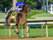 Sovereignty lidera grupo a la Classic