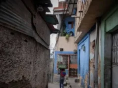 Hallan decenas de mascotas muertas en Caracas: revelan detalles del cruel caso