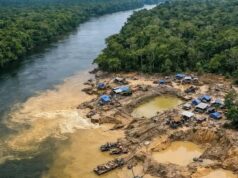 Así destruyen un ecosistema..