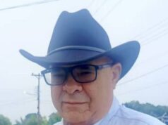 Carlos Chancellor Ferrer. PROPUESTA DE OPTIMIZACIÓN DEL EJE ELECTRICO DEL SUR, EDO BOLÍVAR.