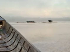 Carvajal Morales pide derogatoria inmediata ante “ecocidio sin precedentes” en el Arco Minero