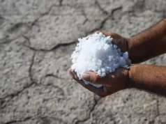Qué es la intrusión salina y qué efectos puede tener en la economía y nuestra salud