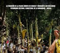 Los palmeros de Chacao Una tradición que desafía a la crisis