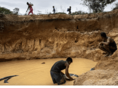 SOS Orinoco: licencia de EEUU para comerciar oro venezolano «blanquea riqueza criminal