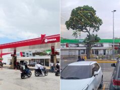 A la Pdvsa de Delcy Rodríguez también le destiñeron el «rojo, rojito»