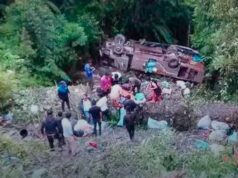Tragedia en Bolivia: Al menos seis muertos y 15 heridos al caerse un autobús por un barranco