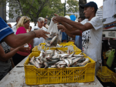 ¿Cuánto cuesta mantener viva la costumbre de comer pescado en Semana Santa en Venezuela 2026?