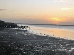 Escasez de agua dulce afecta a más de 10 comunidades indígenas en Delta Amacuro