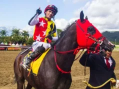 Campeona Fast Sensations será destinada para la cría