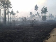 Trabajadores exigen declarar «emergencia» ante un incendio en el bosque Uverito