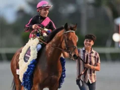 Junior Alvarado irá por otra corona
