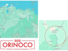 SOS Orinoco: “Es imposible estabilizar el sur del Orinoco sin desmontar el modelo mafioso”