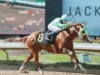 José Armando Bracho está imparable en Thistledown