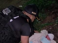PNB halló con vida a un bebé abandonado en el sector Múcura de Aragua (+Fotos)