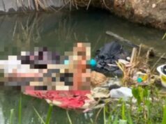 Fueron a bañarse en un estanque en Valencia y salieron corriendo horrorizados por lo que encontraron: la policía investiga el caso