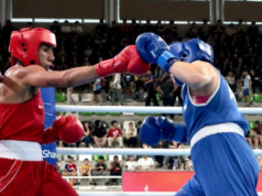 Boxeo coronó a cuatro reinas