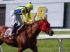 Fatima Blush ganó el Clásico Gelinotte con solvencia