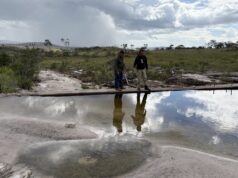 La muerte de la laguna habitada por la anaconda con cabeza de cera en la Amazonía venezolana