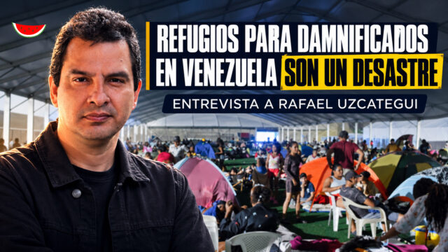david-youtube-refugios