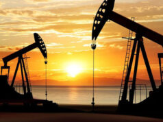 Petróleo: nueva élite de poder .. Leopoldo Puchi
