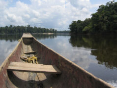 Comunidades indígenas y afrodescendientes del Bajo Caura enfrentan impactos del cambio climático sin apoyo suficiente