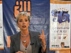 *El MAS solicita la derogatoria de leyes que restringen libertades y derechos fundamentales*
