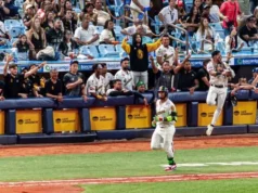 Leones le aplicó su poder ofensivo a Magallanes